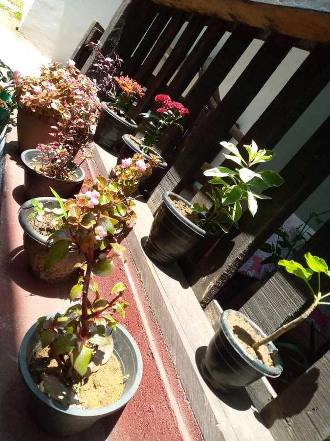 Ask Homestay Ella Exterior foto